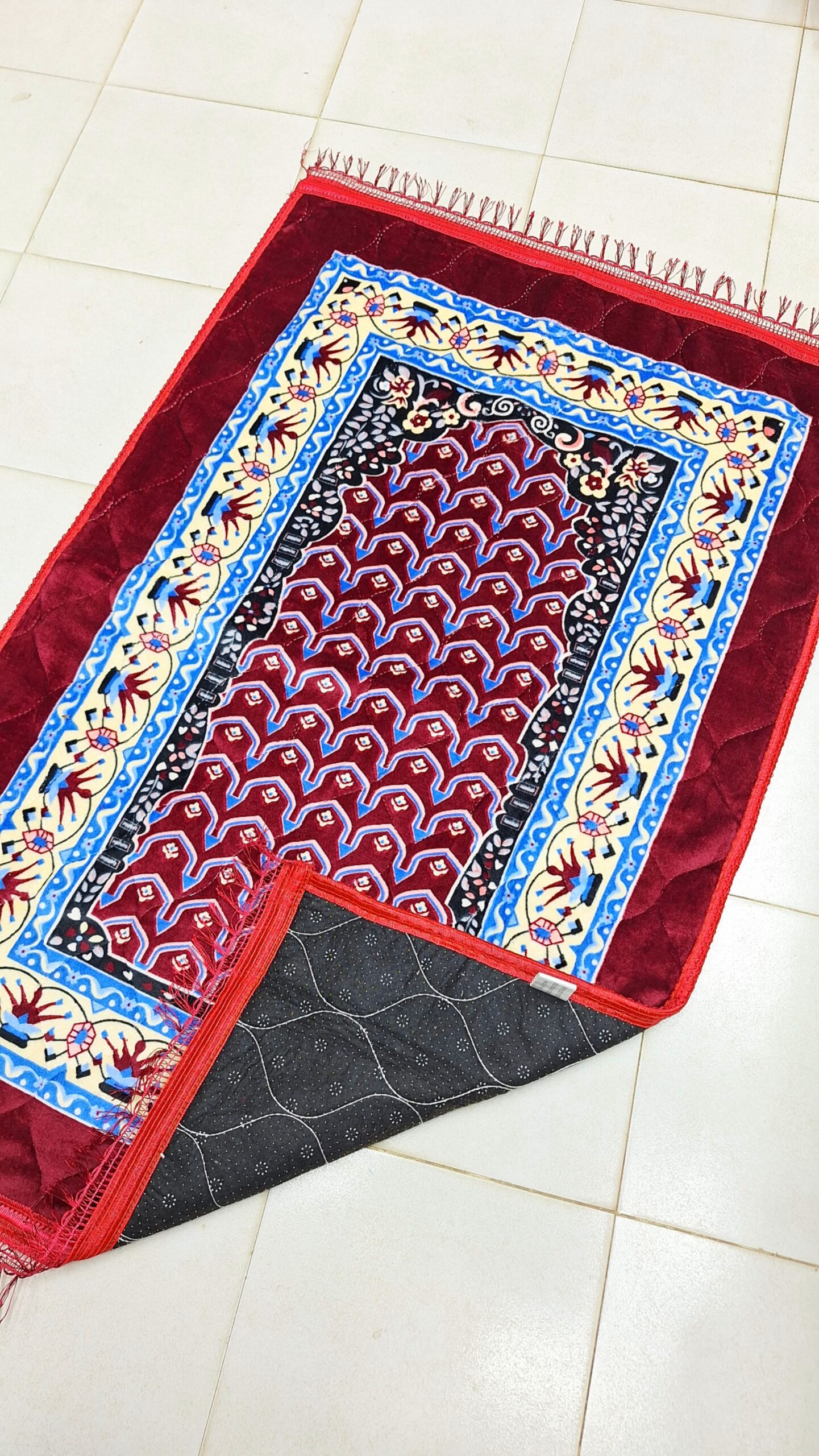 Picsart_26-02-19_00-08-23-805